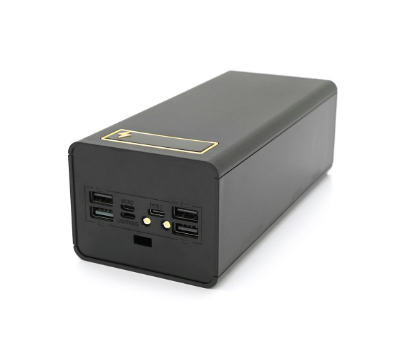 VOLTRONIC D21-PD