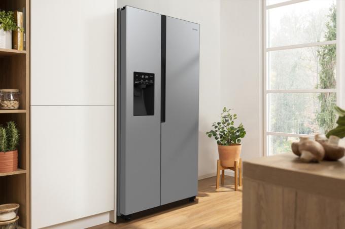 Gorenje NRR9185ESXL1