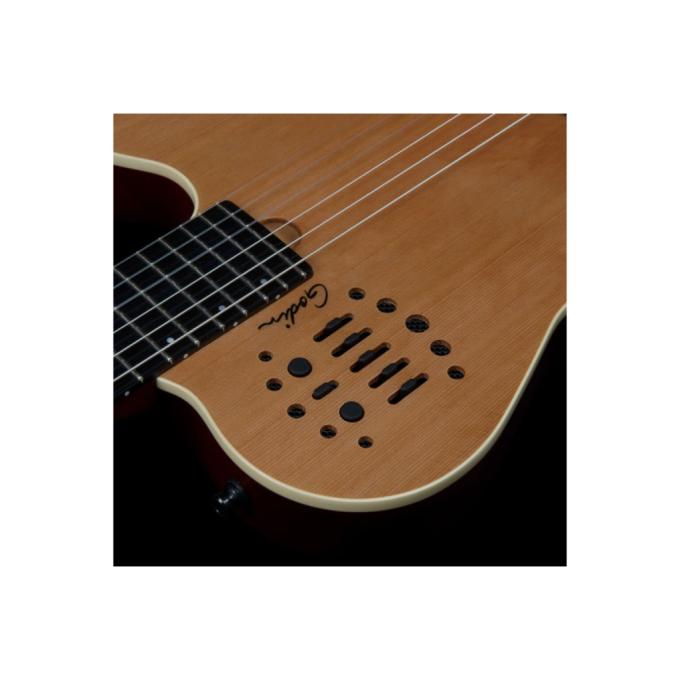 Godin 235922