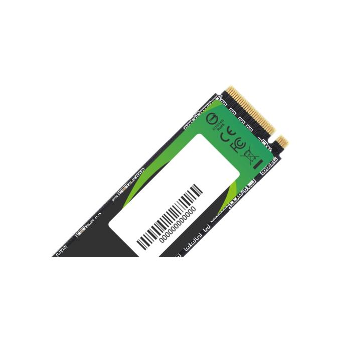 Apacer AP256GAS2280P4X-1