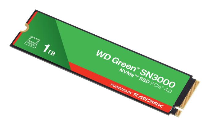 WD WDS100T4G0E