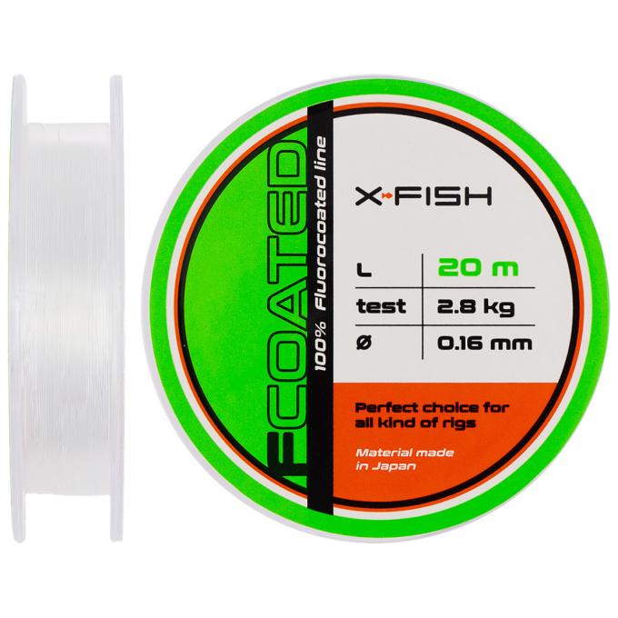 X-Fish 1917.01.41