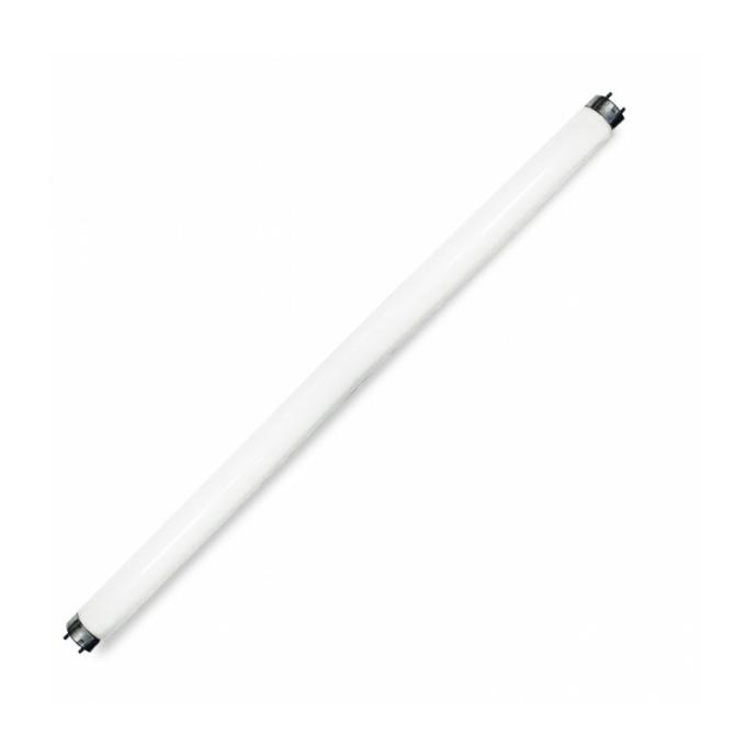 Bellight 232836