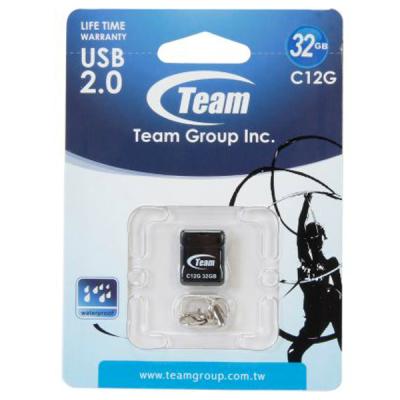 Team TC12G32GB01