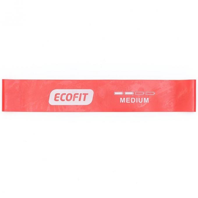 EcoFit MD1319 Medium 0.9х50х610 мм