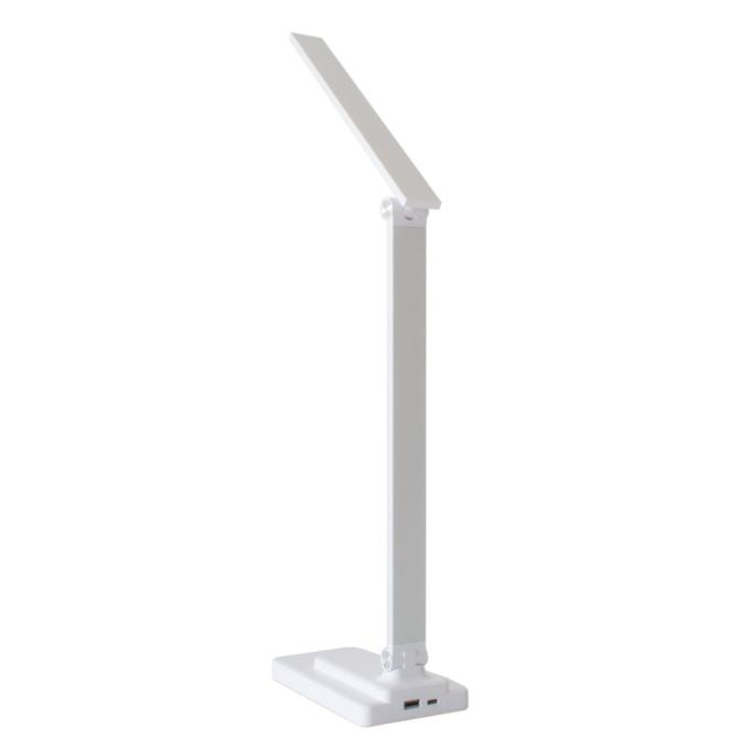 Євросвітло LED акумуляторна Ridy-10-2-PWR 10 Вт біла