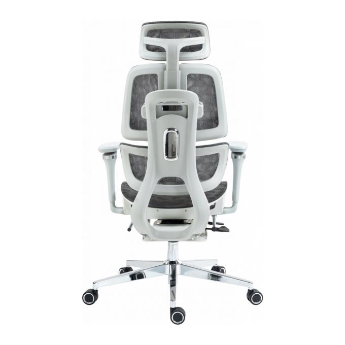GT Racer B-2450 White/Gray