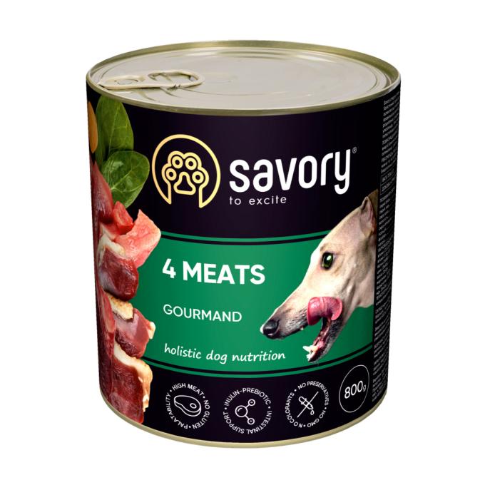 Savory 4820232630402