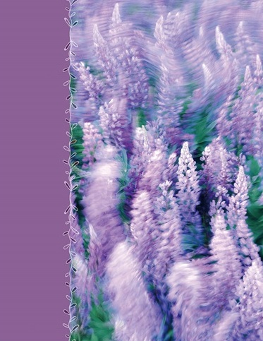 UFO PP-46200 Lavenders