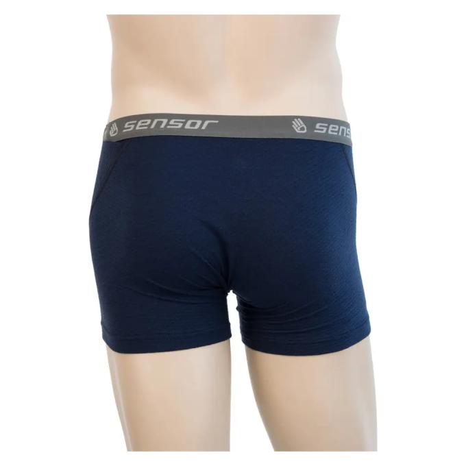 Sensor SM21M-deepblue-L