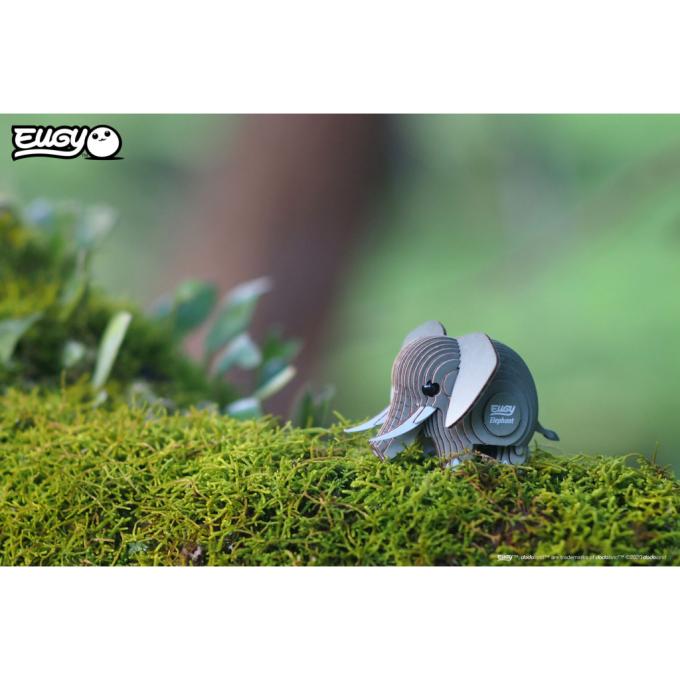 Eugy XEG-010