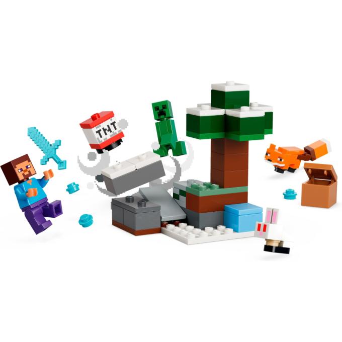 LEGO 21583