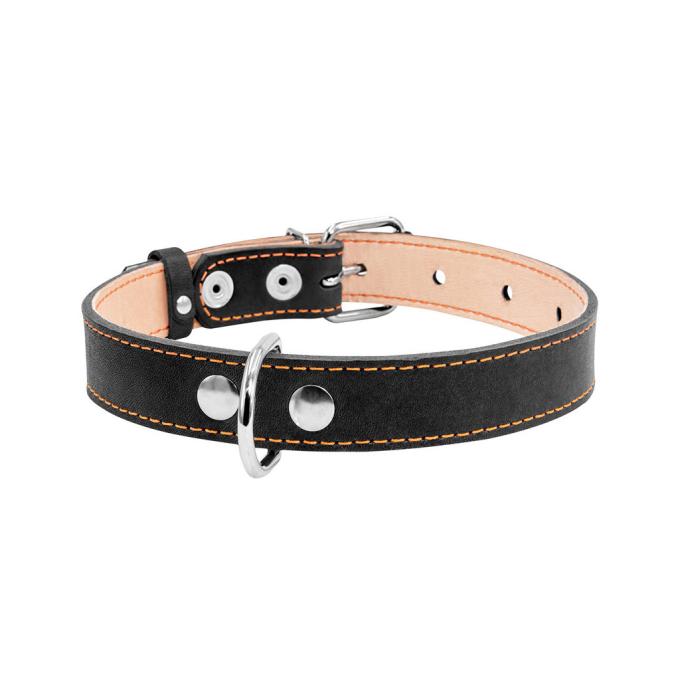 Collar 02291