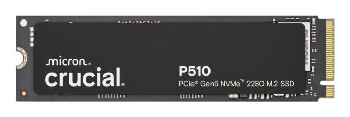 Crucial CT1000P510SSD8