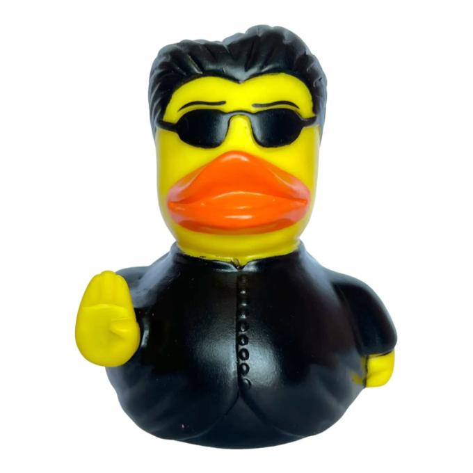Funny Ducks 1324