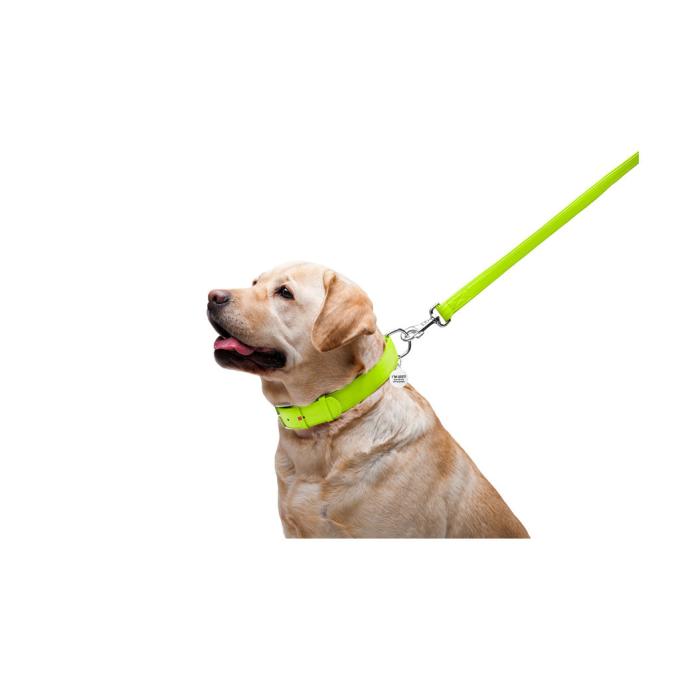 WAUDOG 33765