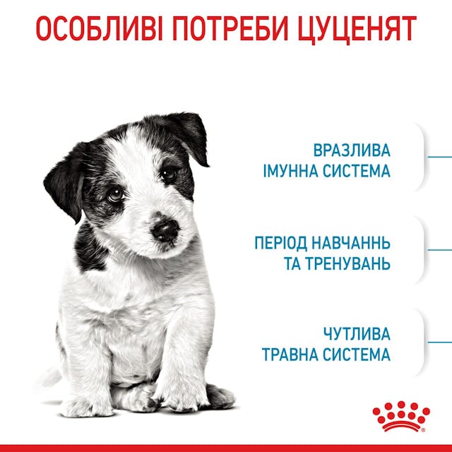 Royal Canin 30000082