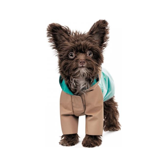 Pet Fashion 4823082434497