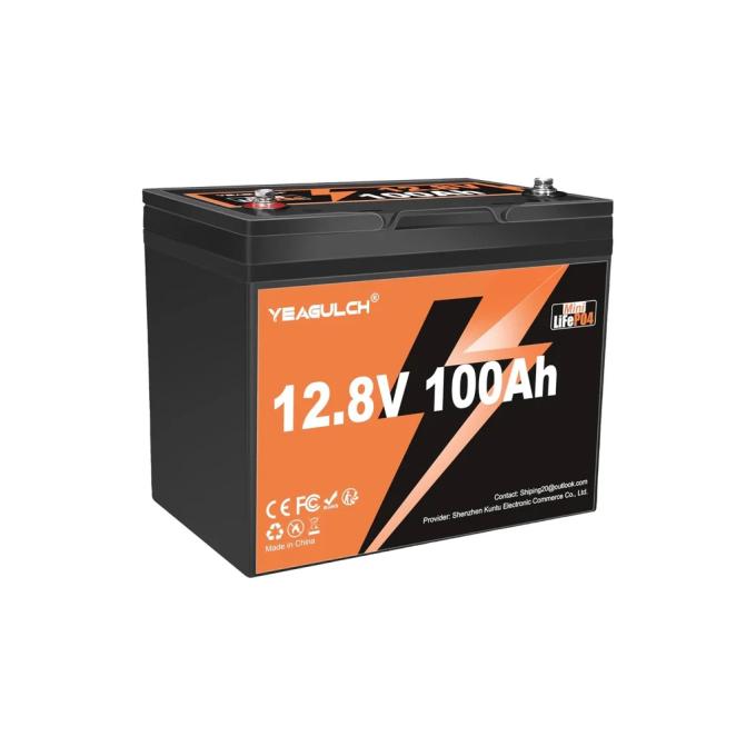 YEAGULCH YEAGULCH-12,8V/100Ah Mini