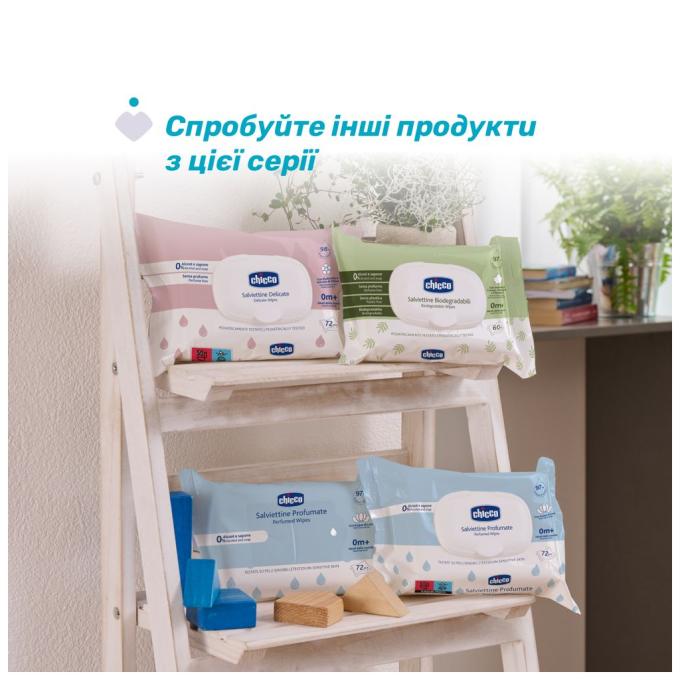 Chicco 12050.60