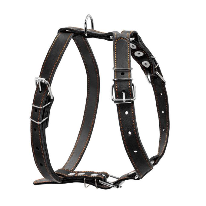 Collar 06381
