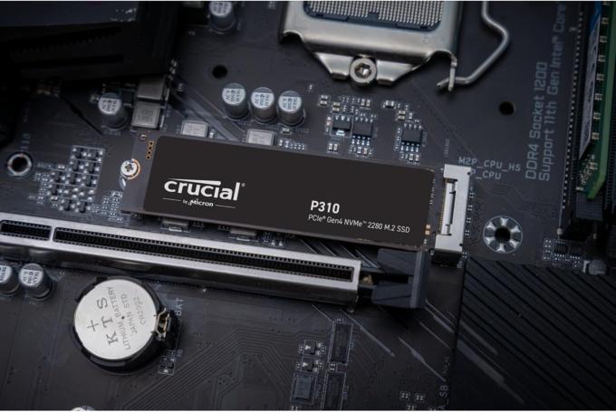 Micron CT2000P310SSD8