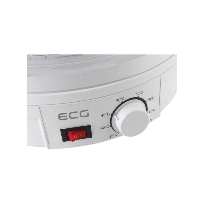 ECG SO 375
