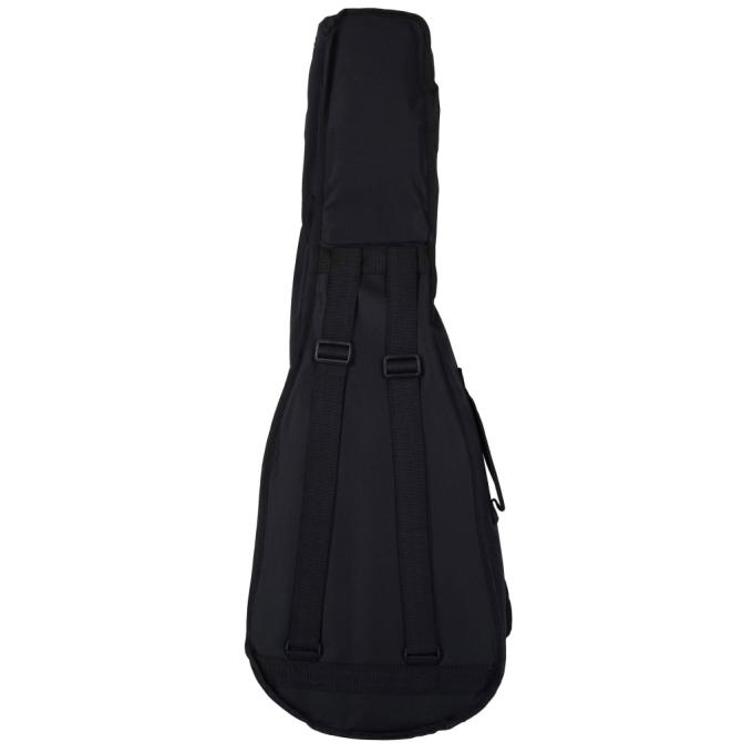 Cort AC50 OP w/bag