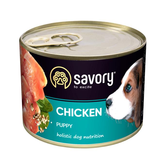 Savory 4820232630549