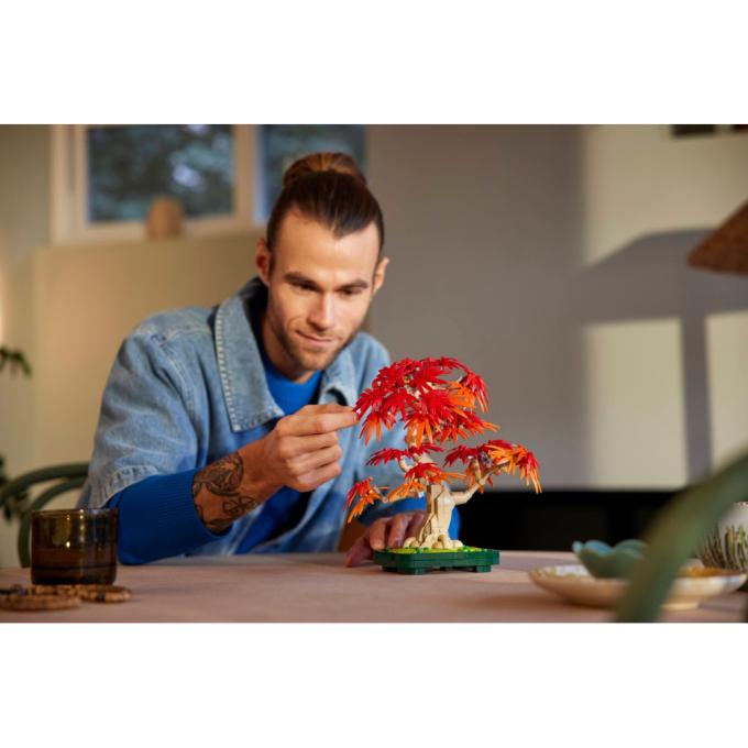 LEGO 10348