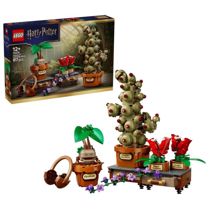LEGO 76474