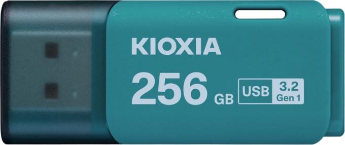 Kioxia LU301L256GG4