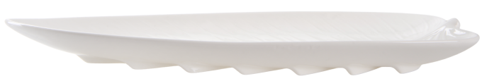 LED B010854