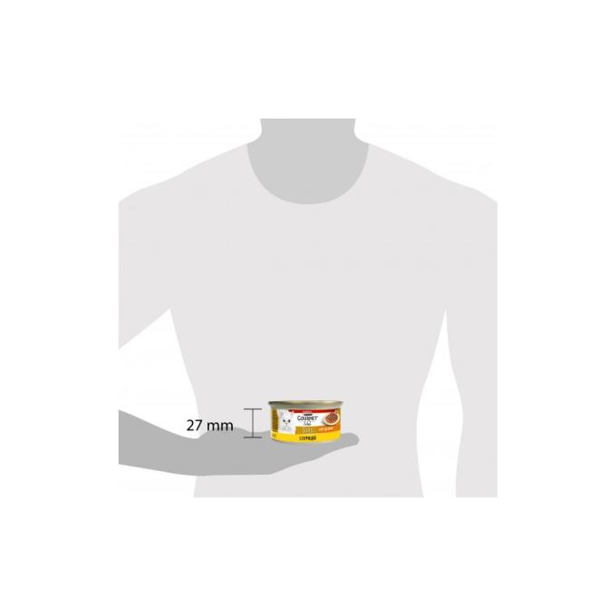 Purina Gourmet 7613036705103