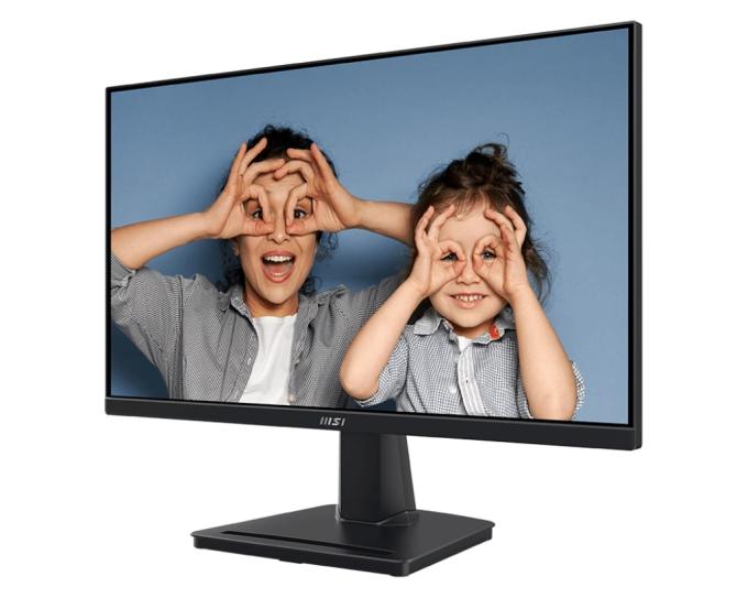 MSI 9S6-3PE0CM-001