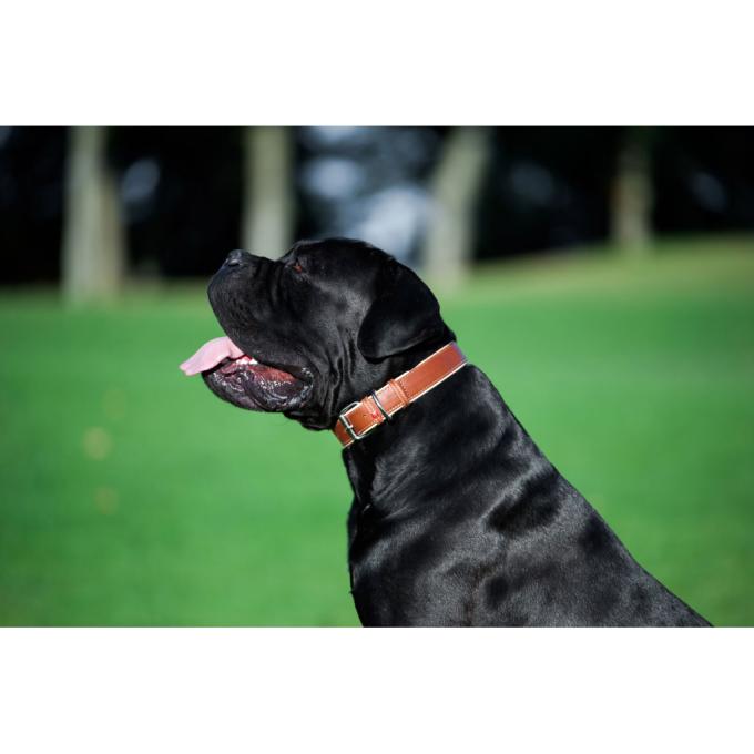 WAUDOG 7203
