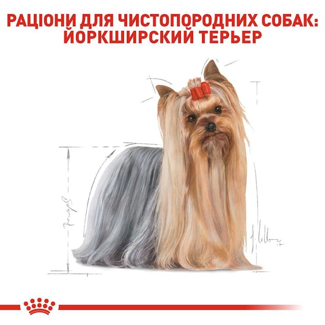 Royal Canin 3051015