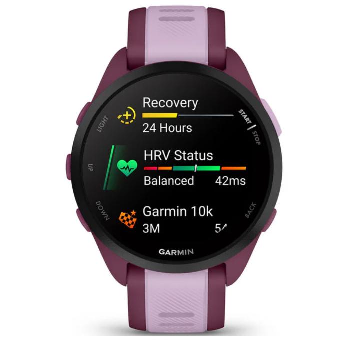 Garmin 010-02863-33