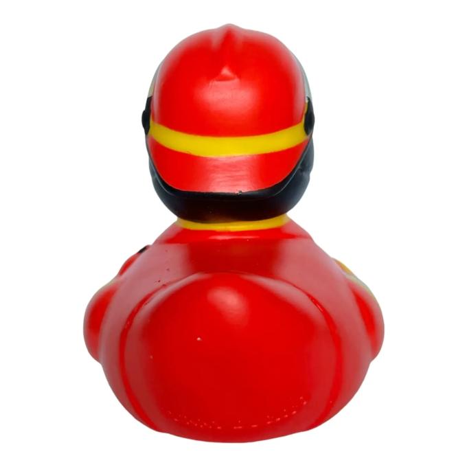 Funny Ducks 1334