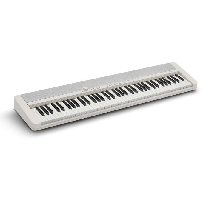 Casio 363319