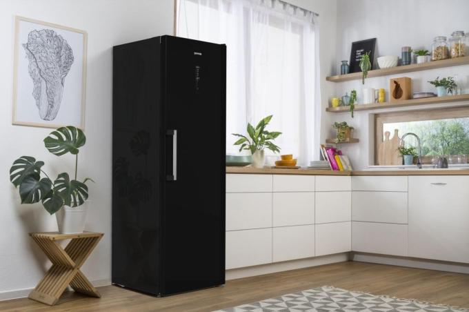 Gorenje FN619EABK6