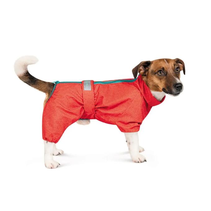 Pet Fashion 4823082425587