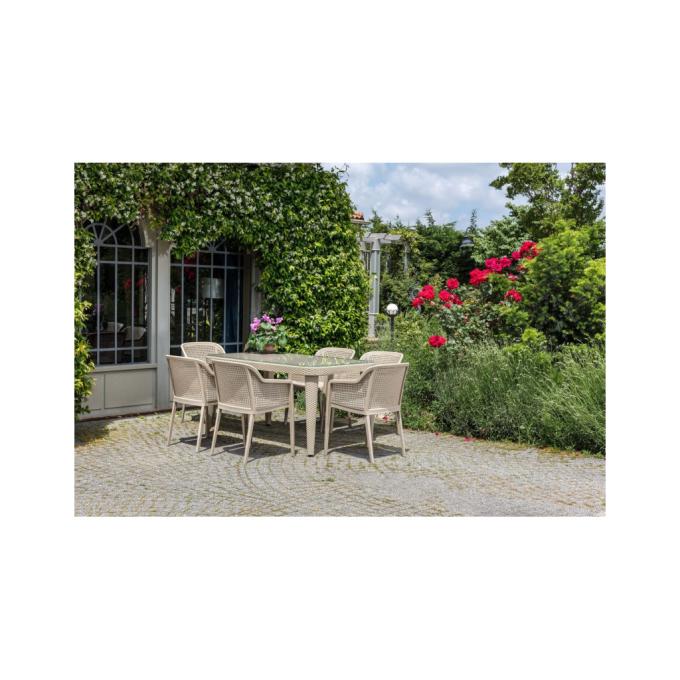 Tilia 10059