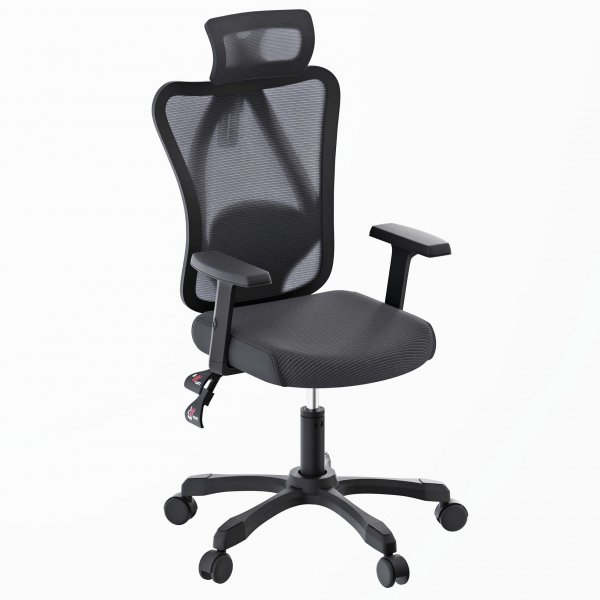 Maxxter OC-ONYX