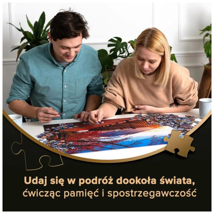 TREFL 5900511108118