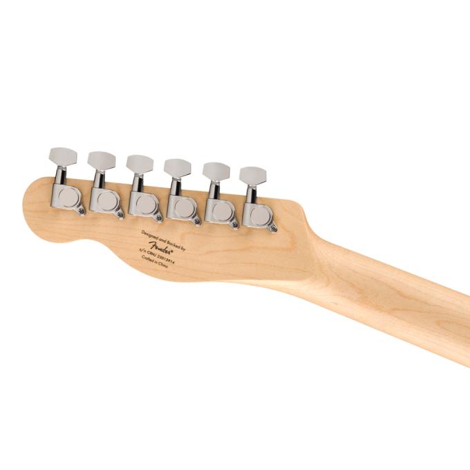 Squier by Fender 236113