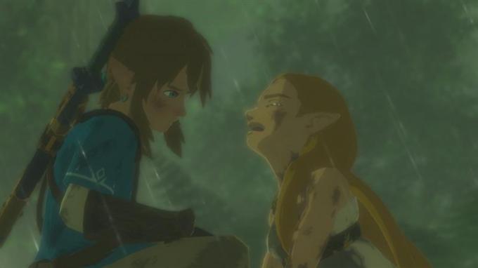 Nintendo 045496420055