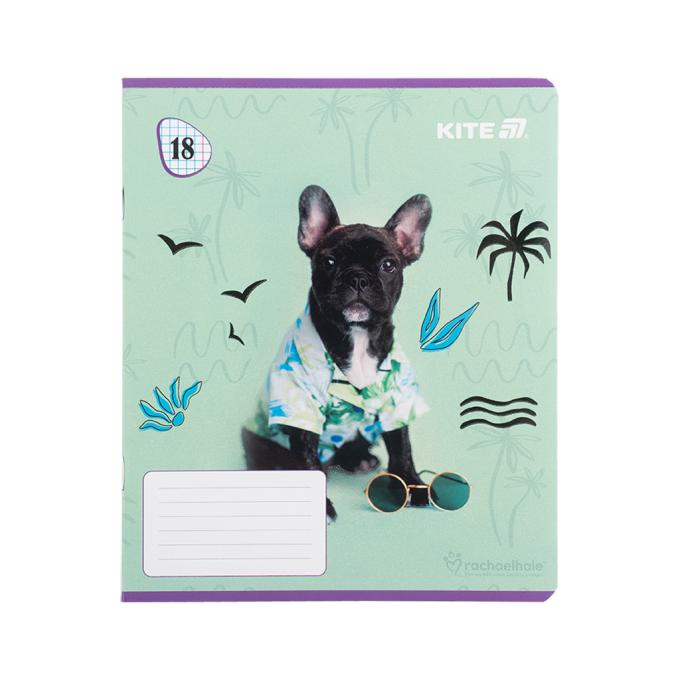 Kite R25-236