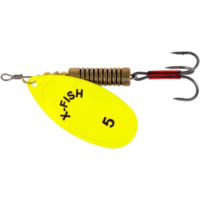 X-Fish 1917.07.41