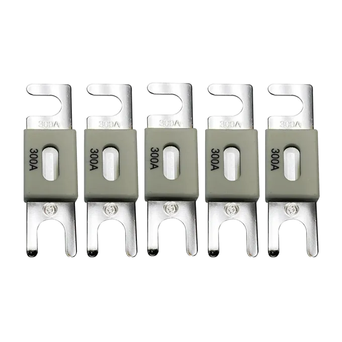 Victron Energy ANL-fuse 300A/80V (5 pc)